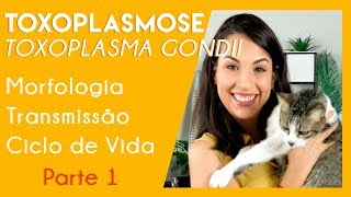 Toxoplasmose toxoplasma gondii  DICAS PARA SUA PROVA PRÁTICA  Parte 1  PARASITOLOGIA 4 [upl. by Eydnarb]