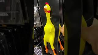 Rubber Chicken  try not to laugh [upl. by Gabor]