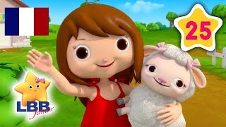 Petite Boo Peep  Compilation de Comptines  Berceuse  Little Baby Bum Junior en Français [upl. by Nitza]