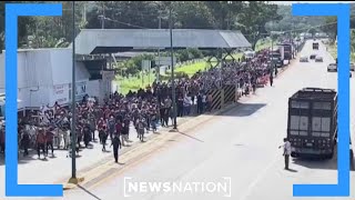 Caravan of migrants from Mexico is normal National Border Patrol Council VP  Morning in America [upl. by Attebasile]