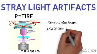 TIRFM  Total Internal Reflection Fluorescence Microscopy by LWarning [upl. by Isla]