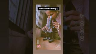 Yeast Cell Budding scienceactivity learnwithfun happylearning scienceisfun viralscience [upl. by Alat]