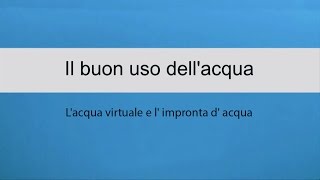 Il buon uso dellacqua  Lacqua virtuale e l impronta d acqua [upl. by Llireva]