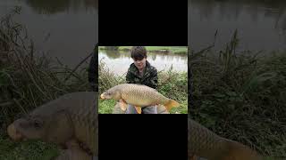 upham fisheries day session 12 out specimen lake most over 15lbs [upl. by Tabbitha]