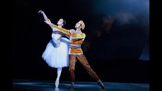 Staatsballett Berlin La Bayadère  Petipa and Ratmansky 2018 [upl. by Nybbor]