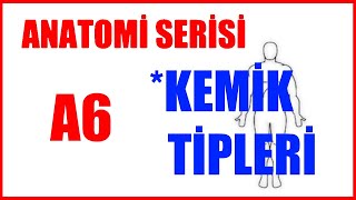 Kemik Tipleri A6 Anatomi Serisi [upl. by Einaffets]