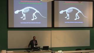 The death of dinosaurs and rise of mammals in the San Juan Basin of New Mexico USA [upl. by Lledualc378]