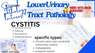 acute and chronic cystitis pathology  types of cystitis  bladder pathology  selflessmedicose [upl. by Mas592]