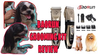 PaanoGamitin HOW TO USE DOG RAZOR FOR EFFECTIVE DIY DOG GROOMING w BAORUN Professional Hair Clip [upl. by Duarte365]