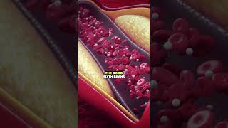 Top 8 Foods that Boost Good Cholesterol Naturally youtubeshorts cholesterol food hearthealth [upl. by Assiar]