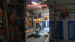 Ego Lifting Marine sets EliteFTS Dynamic Box Squat PR with too much weight 535 lbs x 2 boxsquats [upl. by Nnaarat]