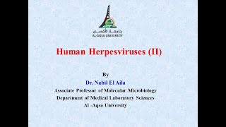 ‫Chapter 5 Human Herpesviruses II [upl. by Refannej231]