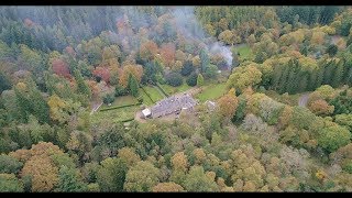 Hamsterley forest West by drone Co Durham [upl. by Mallina583]