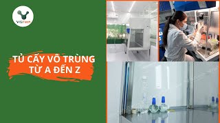 Tủ cấy vô trùng từ A đến Z  Top 10 thông tin hữu ích cần biết [upl. by Sirron156]