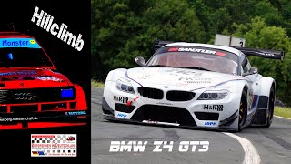 Hillclimb Monsters Onboard BiD BMW Z4 GT3  Bernhard Permetinger AUT Hauenstein 2023 [upl. by Hgieloj]