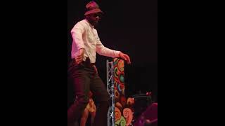 DANCE ELOKO OYO DE FALLY IPUPA dance fallypupa fallyipupatypebeat afrobeats fallyipupa dancer [upl. by Miriam]