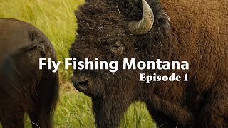 Fly Fishing Montana  Episode 1 [upl. by Horgan531]