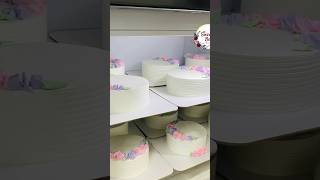 6 മണിക്കൂറിൽ 12 Cakes cakes baking cakerecipe reels shorts bulkorder business [upl. by Jessa]