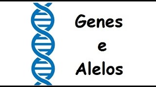 Genes e Alelos A melhor explicação [upl. by Igiul884]