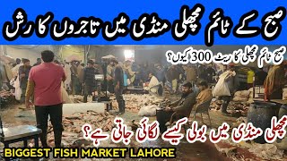 Lahore Fish Market Last Day  New Fish Market in Ring Road Lahore  Fish Market Latest Update [upl. by Eilama]