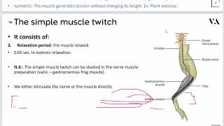 Physiology final  16  Summation amp tetanization [upl. by Eladal110]