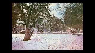 Nevada en Monterrey Enero 9 de 1967 Monterrey Antiguo [upl. by Ecnedac]