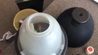 How To Use Young Livings Rainstone Diffuser [upl. by Finnegan121]