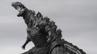 GODZILLA SHMonsterArts Orthochromatic Ver [upl. by Areik608]