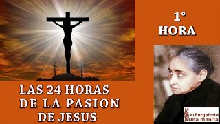 01 de 24 I Horas de la Pasión de Jesús Luisa Piccarreta Divina Voluntad [upl. by Alegre]