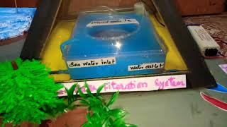 School Project  Solar Salt Water Purification System Model wwwschoolprojectcenterin [upl. by Fritzie]