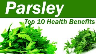 Top 10 Benefits of Parsley  Parsley Leaves Benefits and Uses  Amazing Benefits Of Parsley [upl. by Tillio]