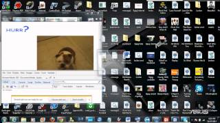 Awesome Prank Website  HurrDurrcom  Also HAPPY 50th Video  New YouTube Partner [upl. by Blader]