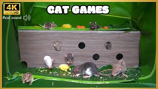 Cat TV for Cats to Watch🐱 Mice hide amp seek and play on screen  Cat Games  Mice for Kittens  8h [upl. by Leuamme]