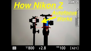 The Complete Autofocus Guide Nikon Z6 Nikon Z7 Nikon Z5 Nikon Z50 Best Autofocus Settings [upl. by Qahsi75]