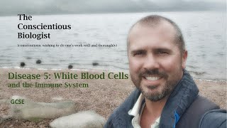 Disease 5 White Blood Cells and the Immune System [upl. by Aikat370]