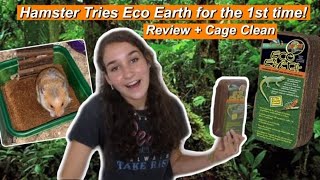 Do Hamsters REALLY Like Dirt Substrates  Eco Earth Review  Mini Cage Clean [upl. by Cathie696]