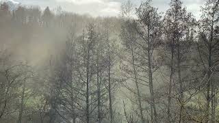 Impressionnant nuage de pollens 15 février 2024 BRUSSIEU Rhône [upl. by Reggi]