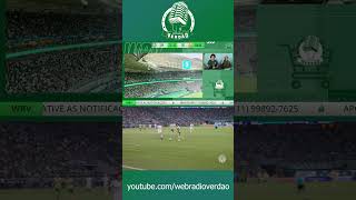 Gol de Estevão  Palmeiras 4x0 Criciúma  Allianz Parque  Web Rádio Verdão [upl. by Selec301]