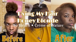 Dying My Hair Honey Blonde WITHOUT BLEACH• Creme of Nature [upl. by Nivag]