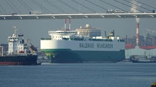 Wallenius Wilhelmsen “FAUST” at Nagoya Port [upl. by Raman980]