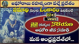 Real Aghori Jai Jai Narayana Ashramam  Explore AP  జైజై నారాయణ అఘోరి జీవ సమాధి sreesannidhitv [upl. by Alina]