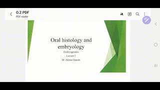 oral histology and embryology lec 2by atheer adnan [upl. by Bobbe]