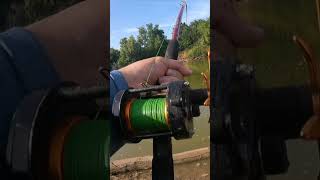 I Caught a GIANT Prehistoric Fish fishing dinosaur prehistoric river rivermonsters [upl. by Naharba913]