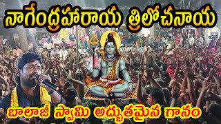 nagendra haraya trilochanaya song  balaji swami [upl. by Montague259]