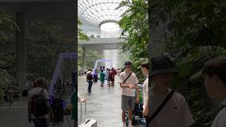 Beautiful Singapore drawing art animation illustration asmr travel singapore october [upl. by Forlini]