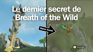 Le DERNIER secret de Breath of the Wild zeldacentral zeldafanart zeldabotw zeldanintendoglitch [upl. by Ihskaneem]