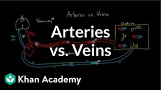 Arteries vs veinswhats the difference  Circulatory system physiology  NCLEXRN  Khan Academy [upl. by Silvio]