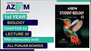 RNA ribonucleic acid Biology 1st Year Chapter02 Lecture30 [upl. by Antonius]