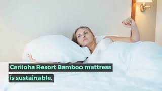 Cariloha Resort Bamboo Mattress Review  Bamboo Detective [upl. by Minerva]