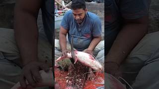 Amazing big size ayer fish cutting skill shorts fishcuting ayer fishcuttingskill fishing fish [upl. by Aivekahs]